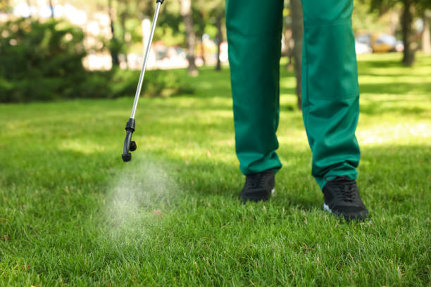 Wildlife Control Services in Ravenel, SC